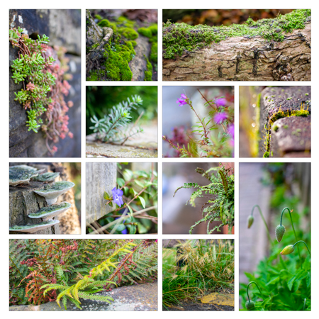 A smile-worthy montage