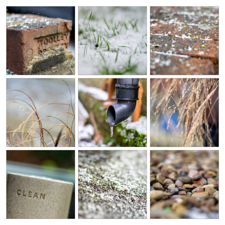 A smile-worthy montage