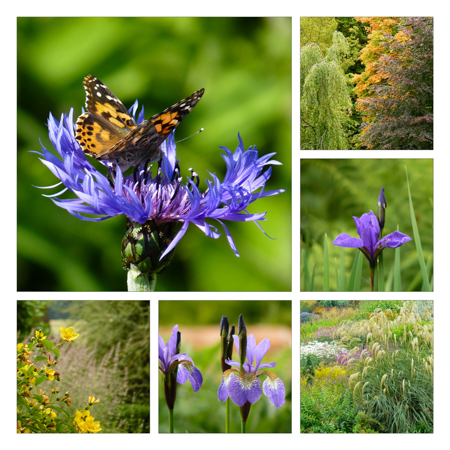 A smile-worthy montage