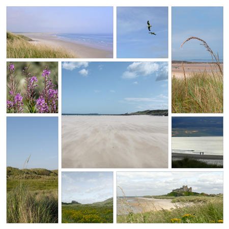 A smile-worthy montage