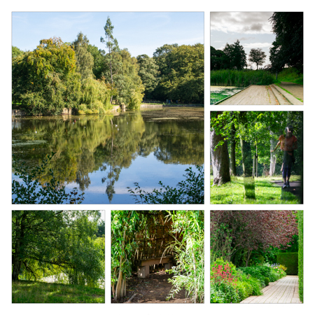 A smile-worthy montage